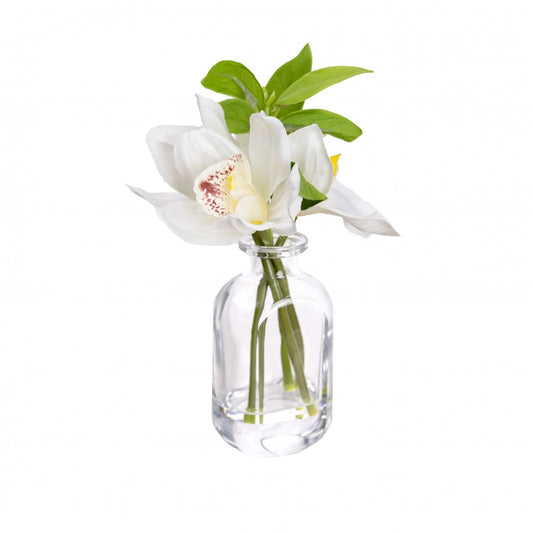 Cymbidium Orchid in Bottle