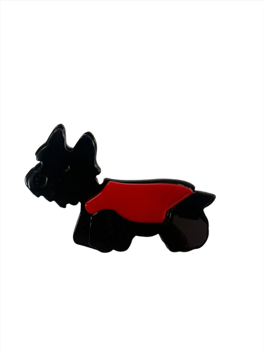 Scottish Terrier with Red Coat
