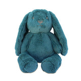 Soft Plush Huggie Banjo Bunny