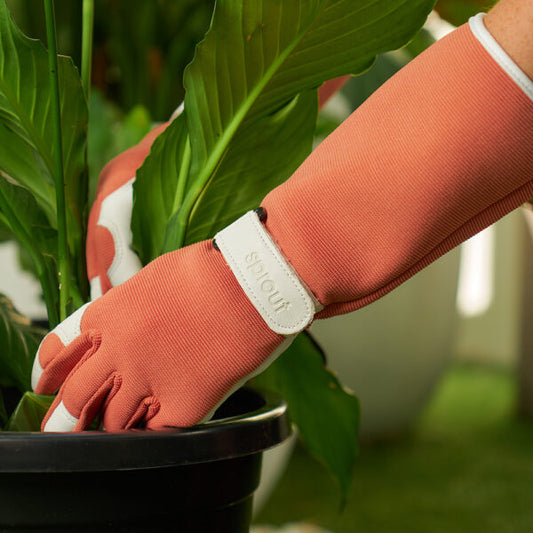 Sprout Long Sleeve Garden Glove - Terracotta