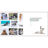 Catitude - Book