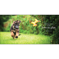 Pupparazzi - Inspirational Book