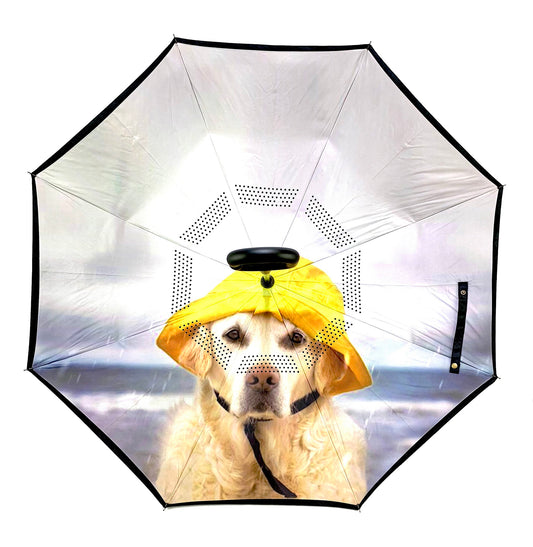 Reverse Umbrella - Rain Dog