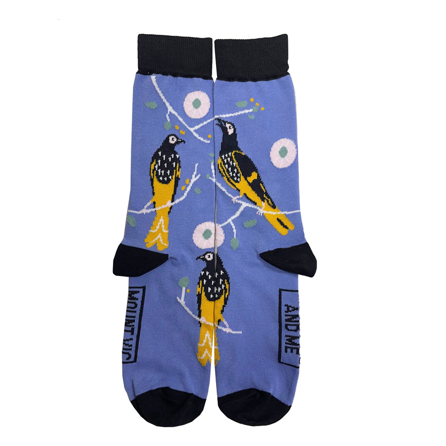 Blue Mountains Socks - Regent Honeyeater