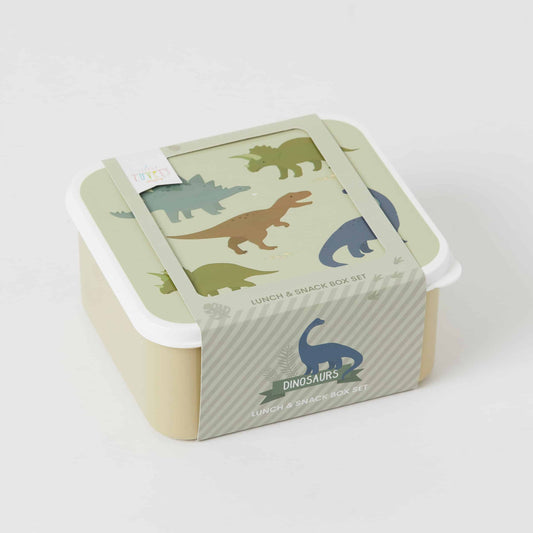 Dinosaurs Lunch Snack Boxes S/4