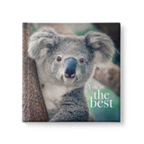 You're The Best