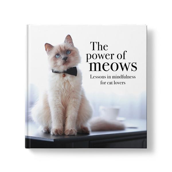 The Power of Meows Book
